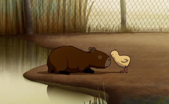 L'arrivée des capybaras